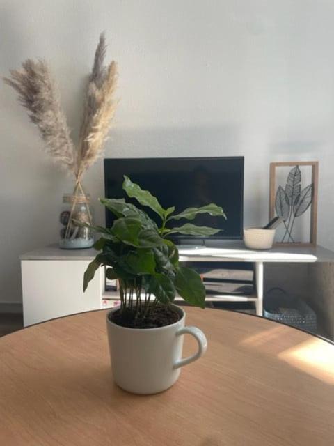 Appartement Calme Au Coeur De La Ville 롱르소니에 외부 사진
